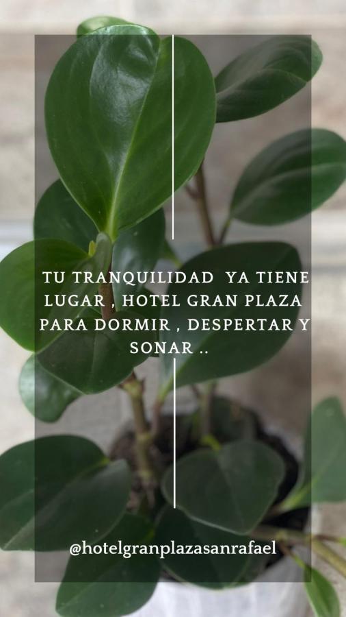 Hotel Gran Plaza San Rafael San Rafael  Exteriör bild